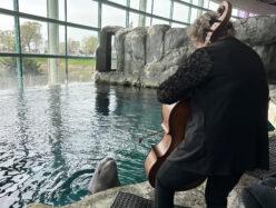 Connecting and Creating: Surprise collaboration between Chicago Sinfonietta and Shedd Aquarium
