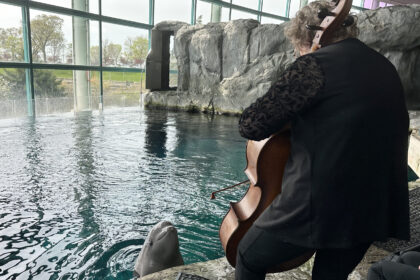 Shedd Aquarium Performance
